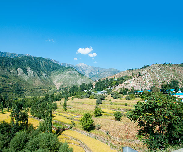Kashmir