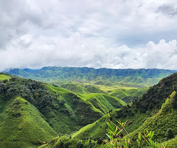 Nagaland