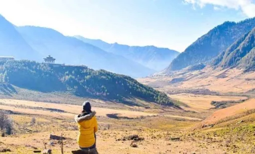 Day 7 — Phuentsholing to Bagdogra Airport / NJP drop
